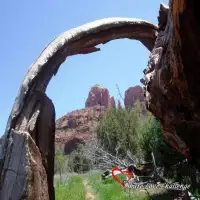 Share Love Challenge Sedona - Oak Creek Gallery