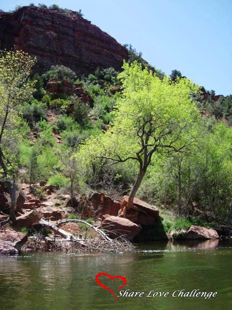 Red Rock Crossing: Sedona Oak Creek Canyon Arizona, USA