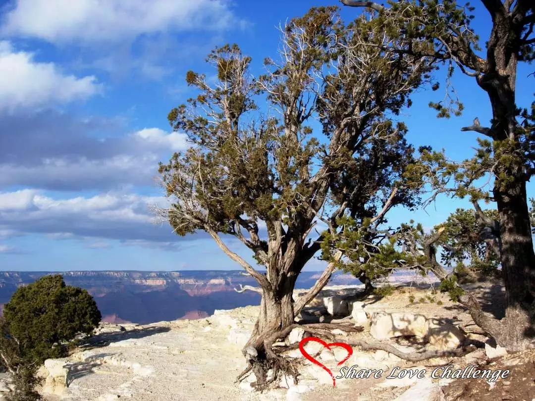 Grand Canyon National Park Arizona State, USA