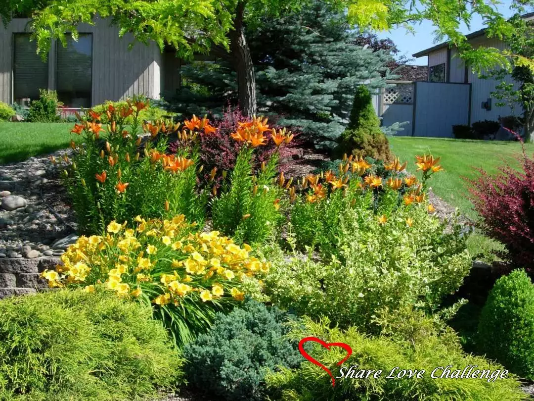 Garden Flowers