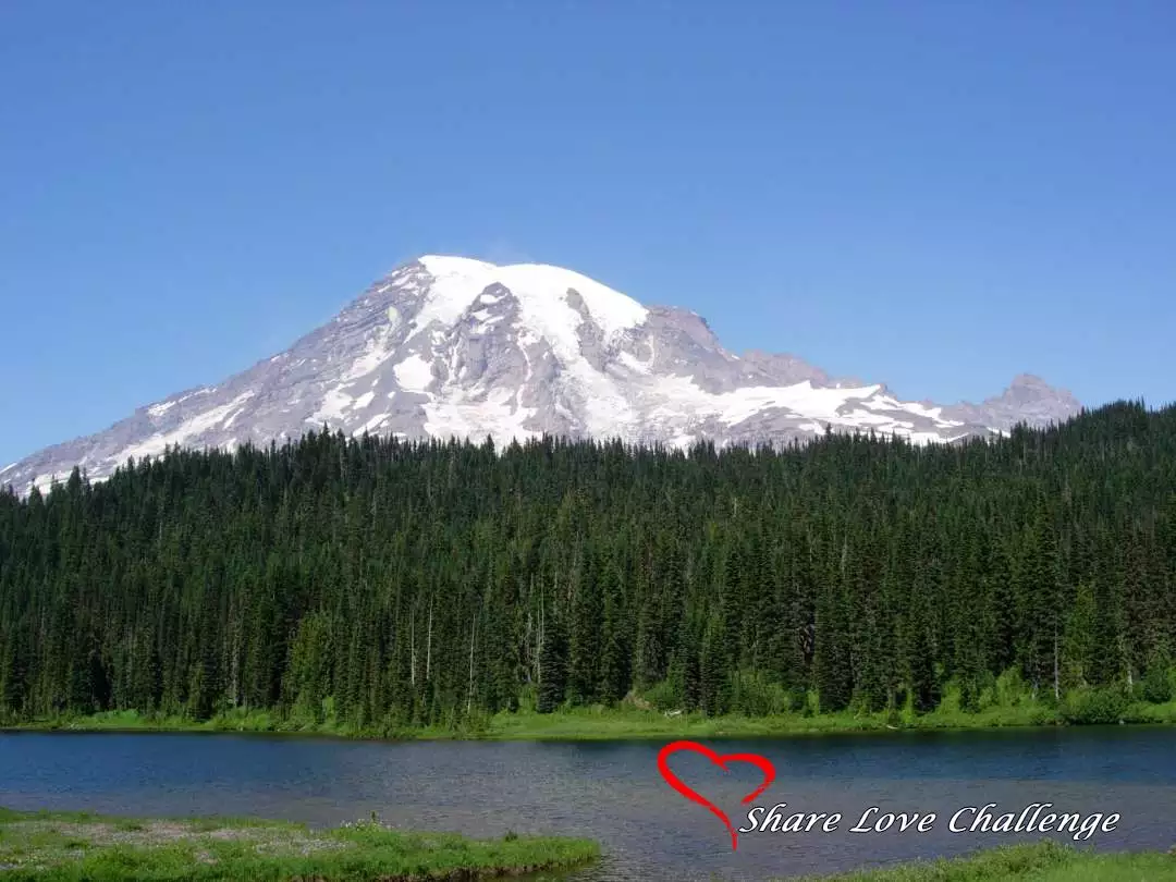 Mount Rainier National Park Washington State