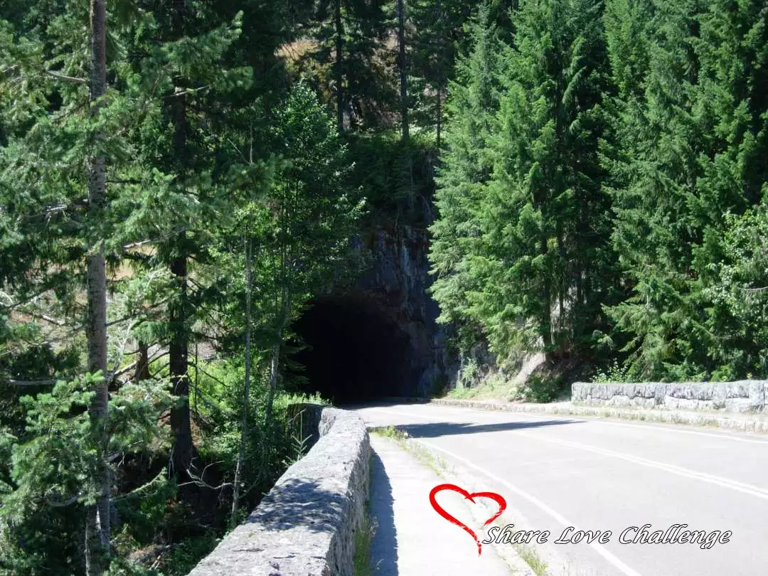 Mount Rainier National Park Washington State