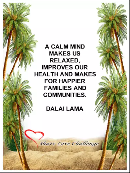 Calm by Dalai Lama