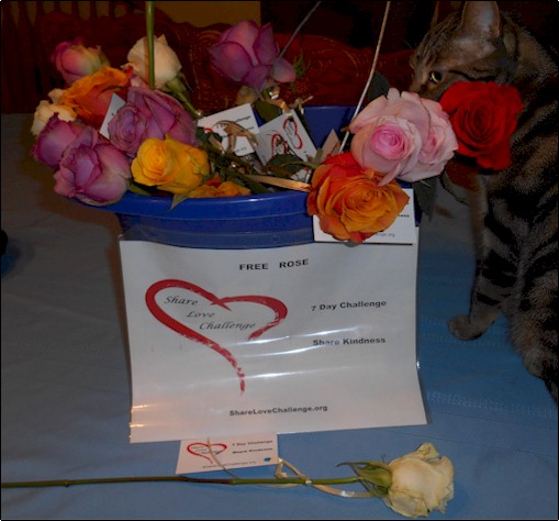Share Love Challenge Events